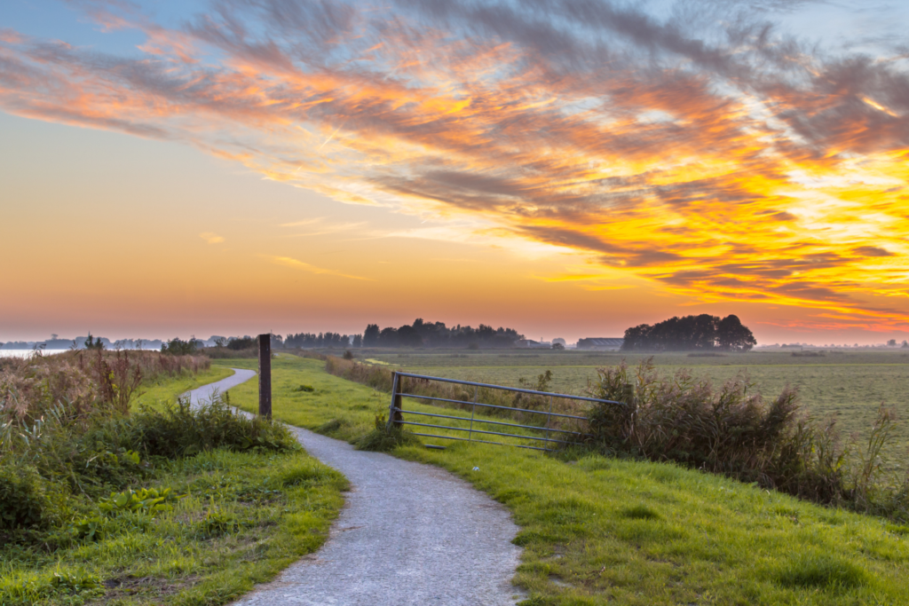 recommitment strategy blog